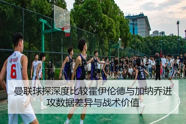 man-lian-qiu-tan-shen-du-bi-jiao-huo-yi-lun-de-yu-jia-na-qiao-jin-gong-shu-ju-cha-yi-yu-zhan-shu-jia-zhi-3-740.jpg