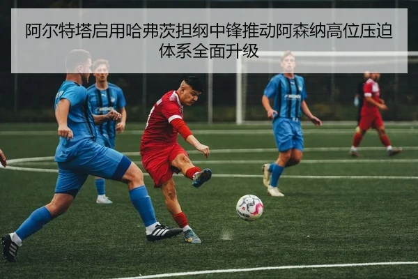 img_1783043464205_3639_0_481.jpg（kaiyun）